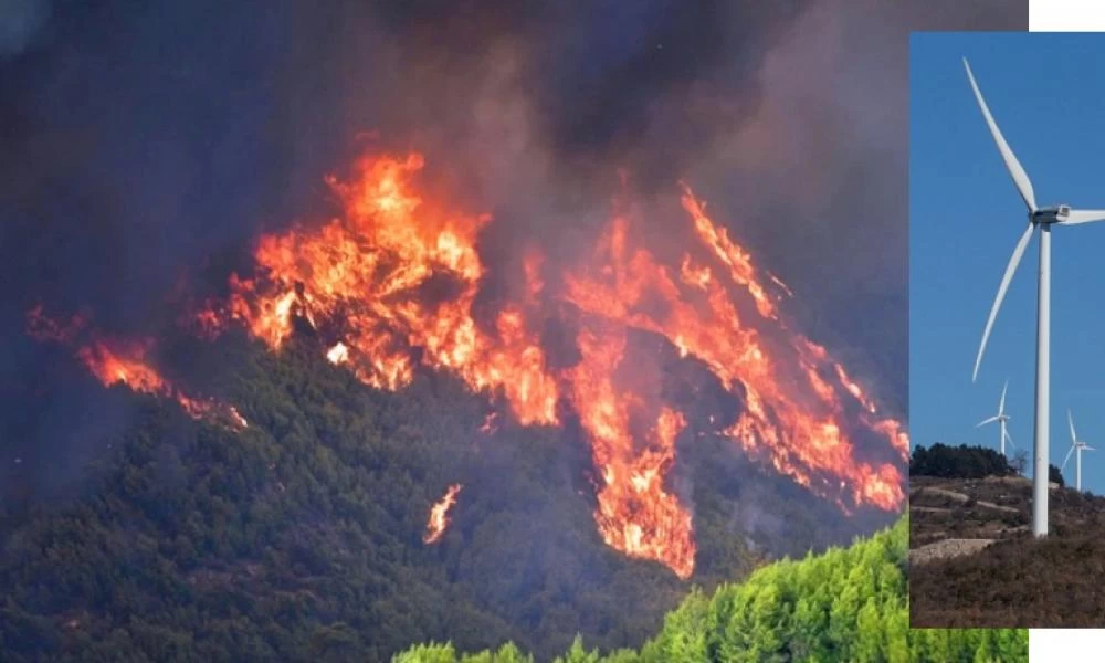 Το ακούσαμε κι αυτό! Ελληνική Επιστημονική Ένωση Αιολικής Ενέργειας: Τα αιολικά πάρκα προστατεύουν τα δάση